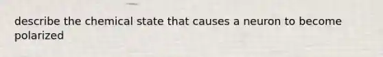 describe the chemical state that causes a neuron to become polarized