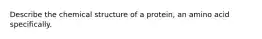 Describe the chemical structure of a protein, an amino acid specifically.