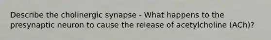 Describe the cholinergic synapse - What happens to the presynaptic neuron to cause the release of acetylcholine (ACh)?