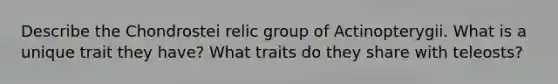 Describe the Chondrostei relic group of Actinopterygii. What is a unique trait they have? What traits do they share with teleosts?