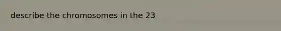 describe the chromosomes in the 23