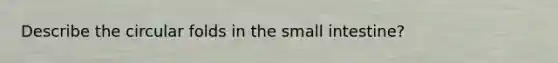 Describe the circular folds in the small intestine?