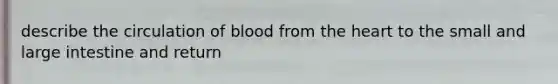 describe the circulation of blood from the heart to the small and large intestine and return