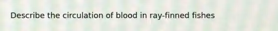 Describe the circulation of blood in ray-finned fishes