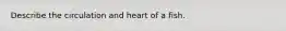 Describe the circulation and heart of a fish.