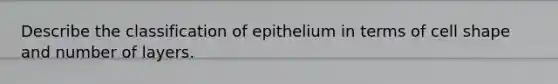 Describe the classification of epithelium in terms of cell shape and number of layers.