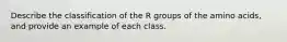 Describe the classification of the R groups of the amino acids, and provide an example of each class.