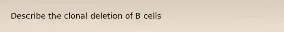 Describe the clonal deletion of B cells