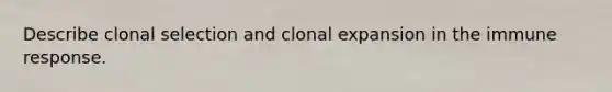 Describe clonal selection and clonal expansion in the immune response.