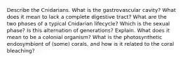 Describe the Cnidarians. What is the gastrovascular cavity? What does it mean to lack a complete digestive tract? What are the two phases of a typical Cnidarian lifecycle? Which is the sexual phase? Is this alternation of generations? Explain. What does it mean to be a colonial organism? What is the photosynthetic endosymbiont of (some) corals, and how is it related to the coral bleaching?