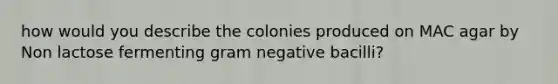 how would you describe the colonies produced on MAC agar by Non lactose fermenting gram negative bacilli?