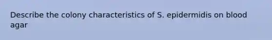 Describe the colony characteristics of S. epidermidis on blood agar