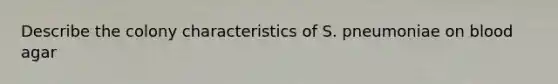 Describe the colony characteristics of S. pneumoniae on blood agar