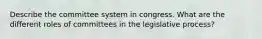 Describe the committee system in congress. What are the different roles of committees in the legislative process?