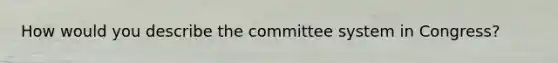 How would you describe the committee system in Congress?