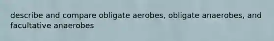 describe and compare obligate aerobes, obligate anaerobes, and facultative anaerobes