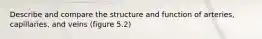 Describe and compare the structure and function of arteries, capillaries, and veins (figure 5.2)