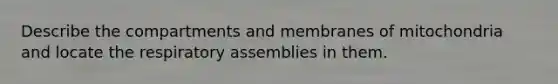 Describe the compartments and membranes of mitochondria and locate the respiratory assemblies in them.