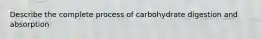 Describe the complete process of carbohydrate digestion and absorption