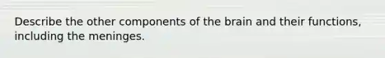 Describe the other components of the brain and their functions, including the meninges.