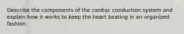 Describe the components of the cardiac conduction system and explain how it works to keep the heart beating in an organized fashion.