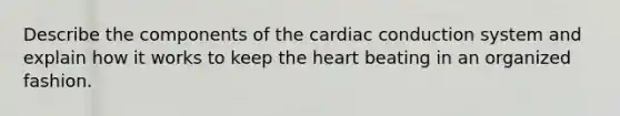 Describe the components of the cardiac conduction system and explain how it works to keep the heart beating in an organized fashion.