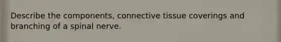 Describe the components, <a href='https://www.questionai.com/knowledge/kYDr0DHyc8-connective-tissue' class='anchor-knowledge'>connective tissue</a> coverings and branching of a spinal nerve.