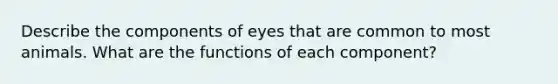 Describe the components of eyes that are common to most animals. What are the functions of each component?