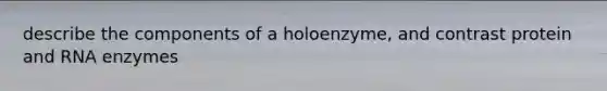 describe the components of a holoenzyme, and contrast protein and RNA enzymes