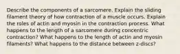 Describe the components of a sarcomere. Explain the sliding filament theory of how contraction of a muscle occurs. Explain the roles of actin and myosin in the contraction process. What happens to the length of a sarcomere during concentric contraction? What happens to the length of actin and myosin filaments? What happens to the distance between z-discs?