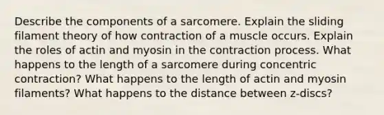 Describe the components of a sarcomere. Explain the sliding filament theory of how contraction of a muscle occurs. Explain the roles of actin and myosin in the contraction process. What happens to the length of a sarcomere during concentric contraction? What happens to the length of actin and myosin filaments? What happens to the distance between z-discs?