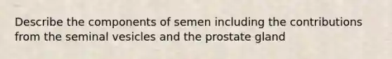 Describe the components of semen including the contributions from the seminal vesicles and the prostate gland