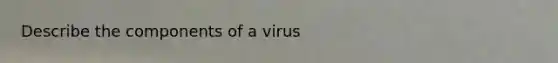 Describe the components of a virus