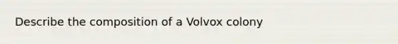 Describe the composition of a Volvox colony