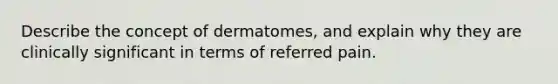 Describe the concept of dermatomes, and explain why they are clinically significant in terms of referred pain.