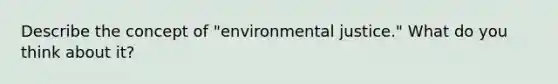 Describe the concept of "environmental justice." What do you think about it?