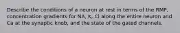 Describe the conditions of a neuron at rest in terms of the RMP, concentration gradients for NA, K, Cl along the entire neuron and Ca at the synaptic knob, and the state of the gated channels.