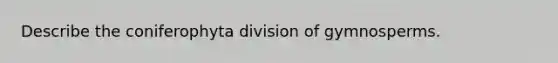 Describe the coniferophyta division of gymnosperms.