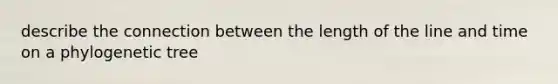 describe the connection between the length of the line and time on a phylogenetic tree