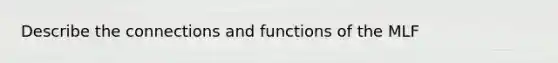 Describe the connections and functions of the MLF