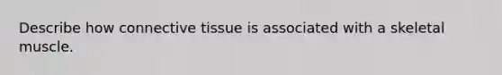 Describe how <a href='https://www.questionai.com/knowledge/kYDr0DHyc8-connective-tissue' class='anchor-knowledge'>connective tissue</a> is associated with a skeletal muscle.