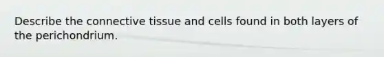 Describe the connective tissue and cells found in both layers of the perichondrium.