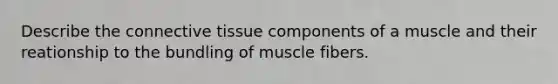 Describe the connective tissue components of a muscle and their reationship to the bundling of muscle fibers.