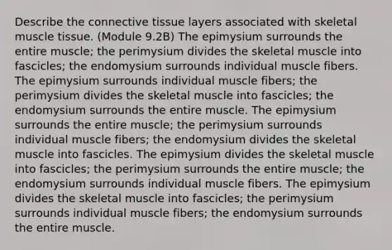 Describe the connective tissue layers associated with skeletal muscle tissue. (Module 9.2B) The epimysium surrounds the entire muscle; the perimysium divides the skeletal muscle into fascicles; the endomysium surrounds individual muscle fibers. The epimysium surrounds individual muscle fibers; the perimysium divides the skeletal muscle into fascicles; the endomysium surrounds the entire muscle. The epimysium surrounds the entire muscle; the perimysium surrounds individual muscle fibers; the endomysium divides the skeletal muscle into fascicles. The epimysium divides the skeletal muscle into fascicles; the perimysium surrounds the entire muscle; the endomysium surrounds individual muscle fibers. The epimysium divides the skeletal muscle into fascicles; the perimysium surrounds individual muscle fibers; the endomysium surrounds the entire muscle.