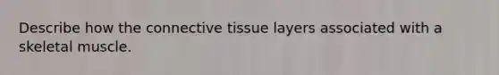 Describe how the connective tissue layers associated with a skeletal muscle.