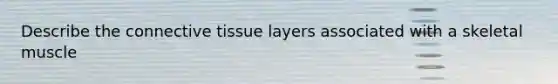 Describe the connective tissue layers associated with a skeletal muscle