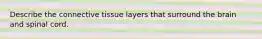 Describe the connective tissue layers that surround the brain and spinal cord.