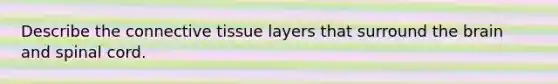 Describe the connective tissue layers that surround the brain and spinal cord.