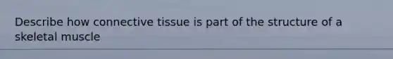 Describe how connective tissue is part of the structure of a skeletal muscle