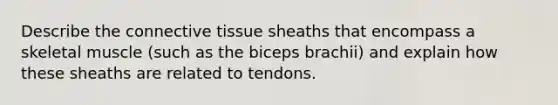 Describe the connective tissue sheaths that encompass a skeletal muscle (such as the biceps brachii) and explain how these sheaths are related to tendons.